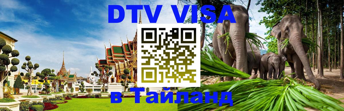 Оформление DTV визы под ключ: стоимость и тарифы, только загранпаспорт - 03.10.2025 